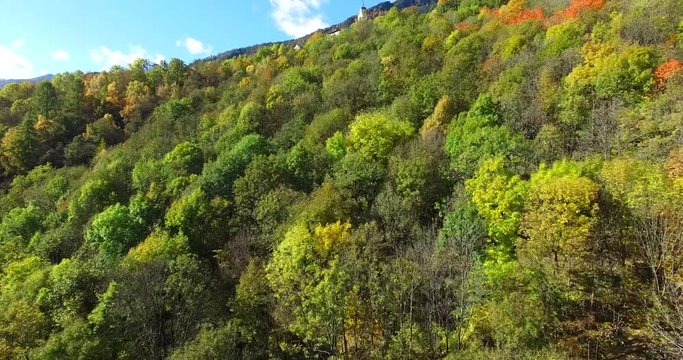 Bosco con colori autunnali - Autunno in Valmalenco - Paese di Primolo - Vista aerea su foresta