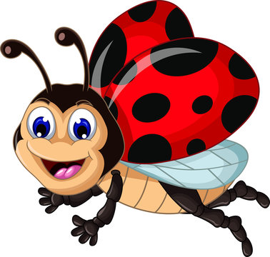 funny ladybugs flying cartoon for your design