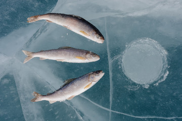 Winter fishing on the lake.