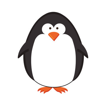penguin cartoon icon image vector illustration design 