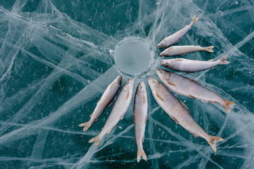 Winter fishing on the lake.