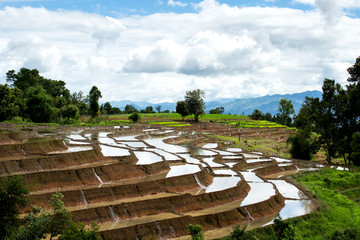 Traditional agriculture in Cheing Mai, Northern Thailand.