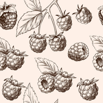 Juicy raspberries. Vector seamless pattern.Vintage style