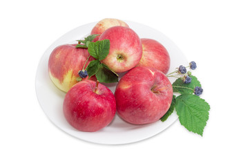 Several red apples with blackberry on dish on light background