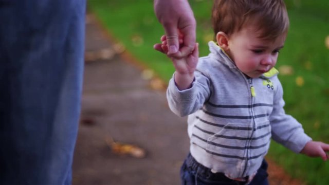 Adorable little boy holding his dad's hand while walking in a park on a fall day