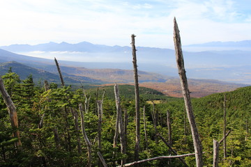 八ヶ岳の山