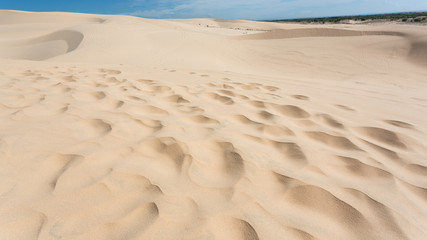 white sand dune desert in Mui Ne, Vietnam
