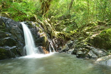 Naklejka na ściany i meble Waterfall in dry evergreen forest,chet khot north waterfall,thailand.