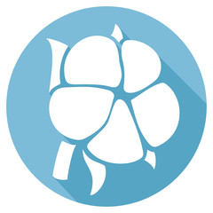 cotton flat icon