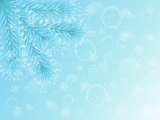 Blue spruce on a winter background. Christmas tree and snowflakes. 