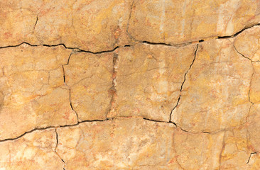Here is an texture on the surface of the Quartzite Rock.