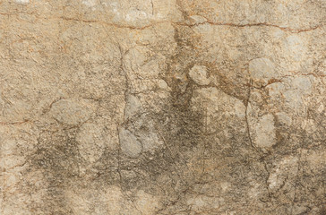 Here is an texture on the surface of the Limestone Rock.