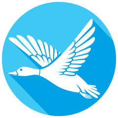 mallard duck flying flat icon