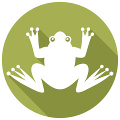 frog flat icon