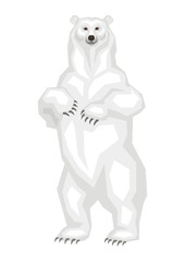 The great polar bear.  Vector image of a predatory animal. Isolated on a white background.