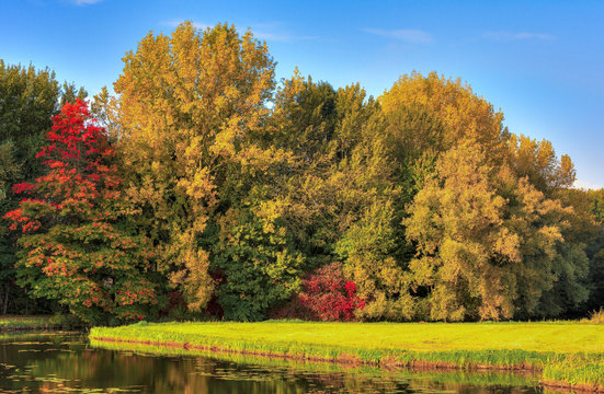 Autumn landscape with colourful trees. The photo was taken in national park de Biesbosch, in the Netherlands.