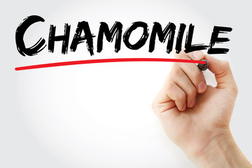 Hand writing Chamomile with marker, concept background