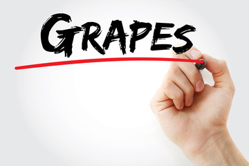 Hand writing Grapes with marker, concept background