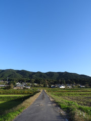 Fototapeta na wymiar 秋の田舎の風景写真