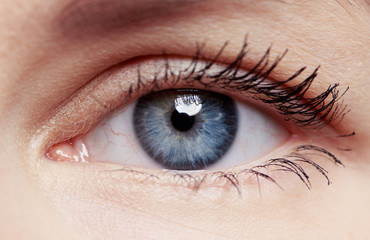 Macro shot of human eye and eyelid with red veins. Concept of eye disease, surgery and correction. 