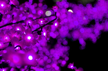 イルミネーション