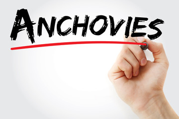 Hand writing Anchovies with marker, concept background