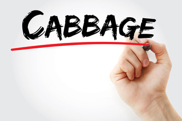 Hand writing Cabbage with marker, concept background