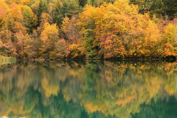 鮮やかなエメラルドグリーンの湖と湖面に映るプリトヴィッツェ国立公園の紅葉
湖の色と木々の紅葉に圧倒された。