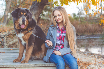 Beautiful girl with tibetan mastiff on the nature
