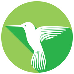 hummingbird flat icon (colibri)