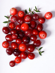 Wild cranberries on plain white backdrop, top view