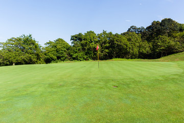 Golf Green Flag Stick