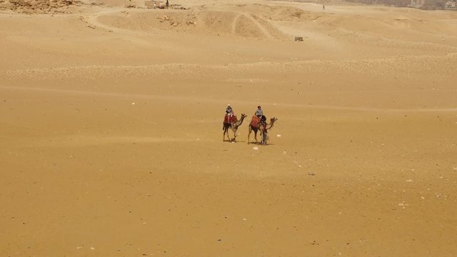 Tourists Ride A Camel through the Desert - Giza - Egypt   