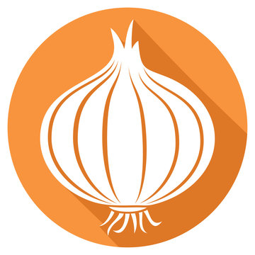 Onion Flat Icon