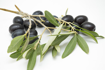 isolated black fresh olives