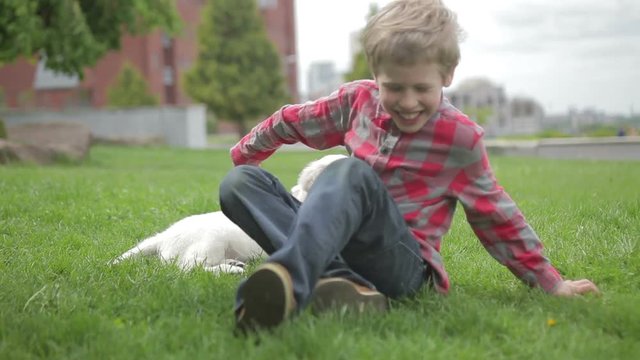 Child stroking and hugging his pet animal friend. Little boy playing with his dog in spring park.