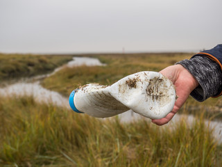 Plastikflasche in den Salzwiesen