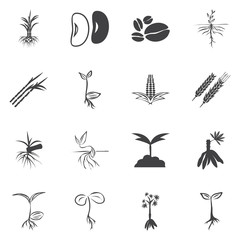 Fototapeta na wymiar Set of four plant or leaf icons. Vector illustration