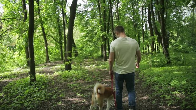 young man walking with his dog in summer park