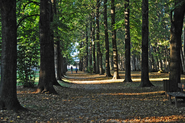 I giardini di Villa Manin a Passariano - Udine
