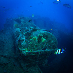 SS Thistlegorm