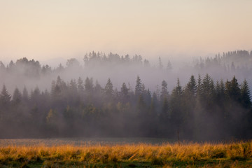Beautiful sunrise fog in mountains