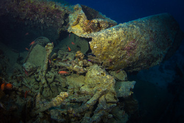 SS Thistlegorm