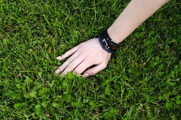  woman's hand on the grass