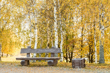 Wooden bench among fallen leaves