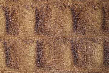 texture light tanned leather..
