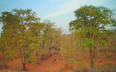 Area around Nagpur, India. Dry foothills