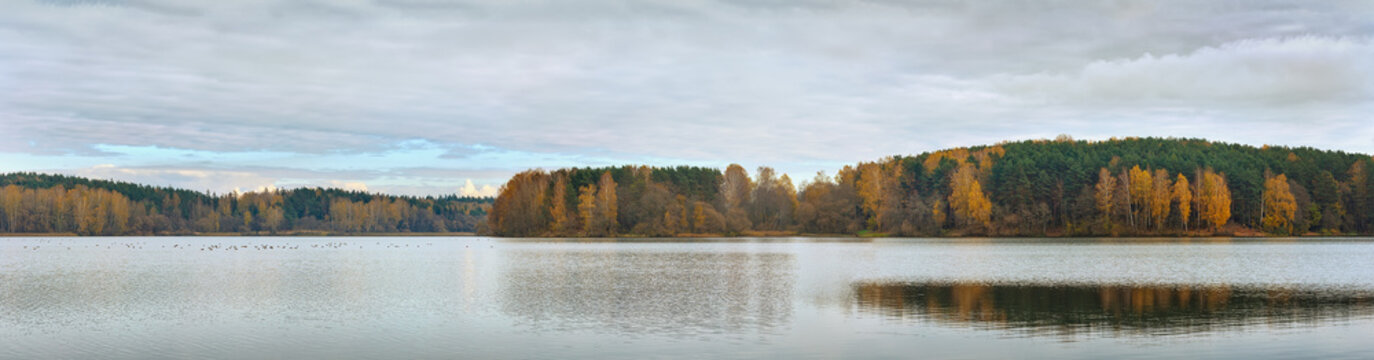 Beautiful panoramic view of fall forest lake..Panorama from five photos.. © karp5