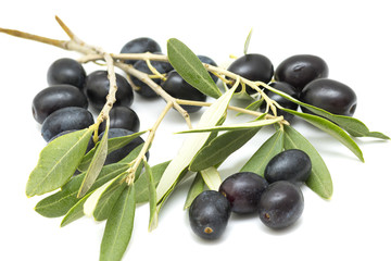 freshly picked black olives