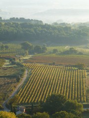 View over vineyards and fields in the foothills of Mont Ventoux, provence on a misty autumnal morning